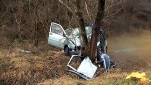 Muž (†53) po mikrospánku narazil do stromu, na mieste bol mŕtvy