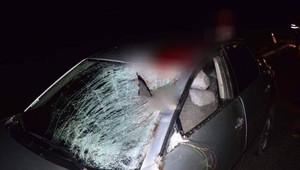 Pri Senici sa tri autá zrazili so zverou. Utrpeli zranenia