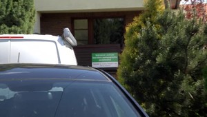 Razia v poradenskom centre: Žiakom mali určovať zlé diagnózy, škole pomáhať získať peniaze