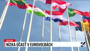 Rozhovor o nízkej účasti v eurovoľbách