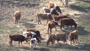 Zrušili obľúbené školské hospodárstvo. Žiaci školy sú sklamaní