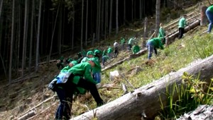 Výsadba stromov v Tatrách. Vznikol nový rekord