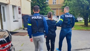 Dievča (17) z Lietavskej Lúčky zlákalo päť detí na prostitúciu