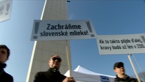 Výrobcovia mlieka hlásia opäť krízu. Hrozí, že Slovensko príde o svojich výrobcov