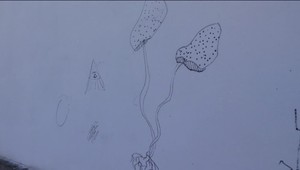 Jednu z najkrajších pamiatok popísali vandali. Miestny farár pravidelne rieši problémy s tínedžermi