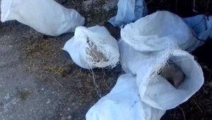 Šesť vriec mŕtvych jahniatok našli obyvatelia pohodené na verejnosti