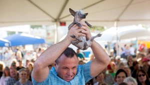Začala súťaž o najškaredšieho psa na svete