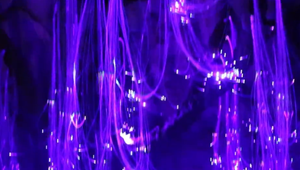 VIDEO: Využili chátrajúci priestor. V obecnej škole vzniká rozprávková krajina