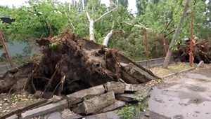 Silná búrka v Komárne vyvalila stromy aj kamión