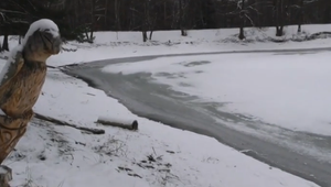 Tenký ľad na sninskom rybníku: Apelujú na verejnosť, aby naň nevstupovali