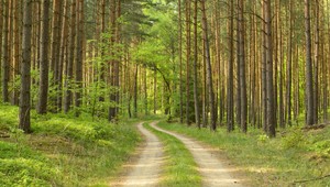 Od 22. augusta žijeme na ekologický dlh. Tento deň prišiel o tri týždne neskôr ako vlani