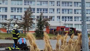 Na základnej škole v Bratislave došlo k úniku chlóru