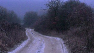 Mladý pár uviazol s autom v lese. Hľadať ich museli podľa stôp v snehu