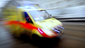 Syn cestoval za zranenou matkou 300 kilometrov, prišiel skôr ako sanitka