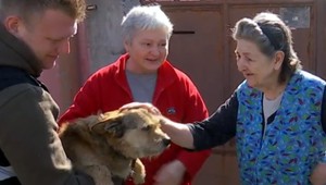 Dôchodcovia už neverili, že verného priateľa nájdu. Csöpiho im priniesol na rukách záchranár