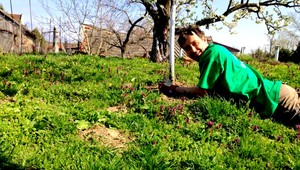 Teplo prekáža aj tráve či kvetom. Takto sa o ne starajte