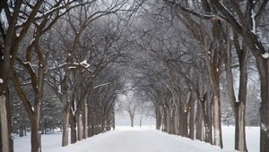 Martin príde na bielom koni
