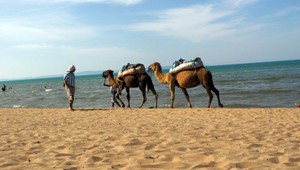 Cestujete do krajín tretieho sveta? Pozor na suveníry