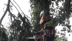 Po víchrici v Prešove pracujú arboristi aj dobrovoľníci, pomohol aj mestský poslanec