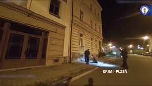 VIDEO: Netradičný zásah policajtov. Po uliciach naháňali bobra
