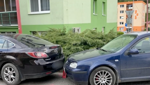 Z krčmy sadol rovno za volant: Podľa svedkov sa mu nedarilo vyjsť z parkoviska a ledva stál na nohách