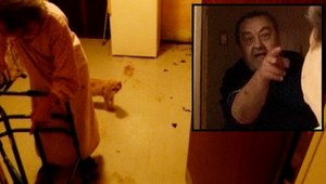 Susedov terorizuje zápachom mačiek! V ohrození aj štáb TV JOJ