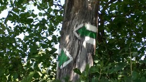 Dve ženy s deťmi sa stratili v Slovenskom raji. Po zotmení ich prepadla panika