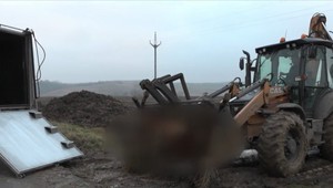 Zastrelené kone našli pohodené na poli. Polícia pokračuje vo vyšetrovaní