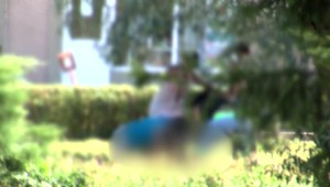 Pes, ktorý po vyprovokovaní napadol chlapca, nemusel mať náhubok