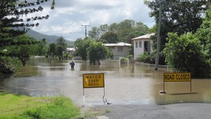 Austrálska katastrofa: Množia sa jedovaté pavúky