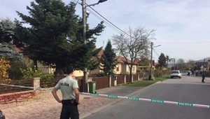 Žena zomrela po útoku sekerou. Mladého muža obvinili z vraždy