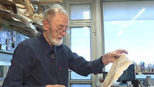 Majster reštaurovania: Ivan Galamboš, strážca slovenských archívov, oslavuje 85 rokov