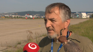 Zrážka s operencom môže poškodiť lietadlu motor. Ako tomu predchádza bratislavské letisko?