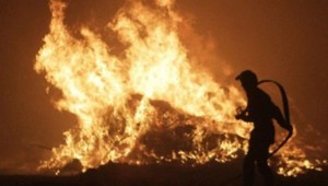 Požiare v Kalifornii zničili už 5 700 domov, počet obetí stúpa