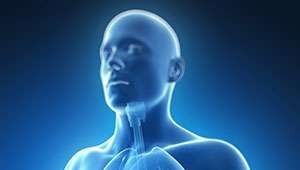 Českí vedci vyvinuli test z krvi na skoré odhalenie rakoviny pankreasu. Už ho patentovali a skúmajú ho na pacientoch!