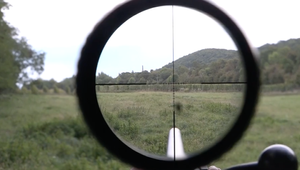 Z lesa sa ozvali výstrely: Poľovník našiel troch pytliakov aj s ulovenou zverou