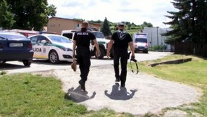 V škole našli funkčný granát z druhej svetovej vojny