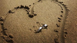 Sheenova ex sa vydala dva dni po zásnubách