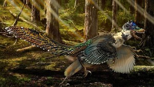 V Číne objavili neznámeho dinosaura. Bahenný vták bol menší ako somár