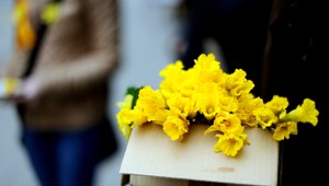 Zlodej ukradol peniaze určené na boj s rakovinou