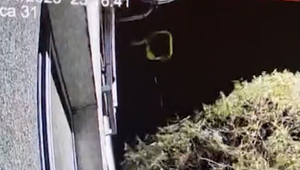 Fekálie visia aj na strome. Chlap vylieva z balkóna výkaly rovno pred bytovku a susedia sú zúfalí