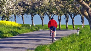 Cyklisti majú od januára povolené pol promile