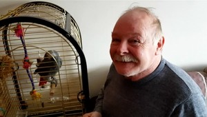 Papagáj napodobňoval zvuk požiarneho alarmu, do bytu o chvíľu vtrhli hasiči