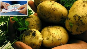 Máte radi zemiaky? Pripravte si peňaženky!