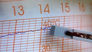 Rozbil okno auta, aby zachránil psa. Polícia ho napriek tomu obvinila