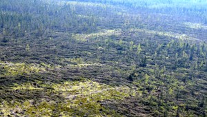 Vysoké Tatry z vrtuľníka: Toto narobila víchrica