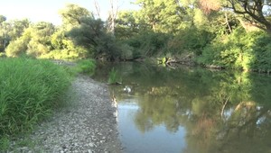 Kúpanie detí sa skončilo tragédiou: 13-ročné dievča sa utopilo