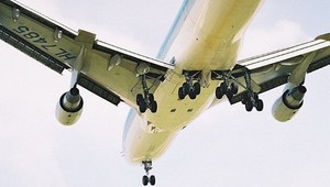 Do USA sa chceli dostať v priestore na podvozok lietadla. Po štarte vypadli