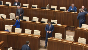 Časť zákona o zodpovednosti za škodu z verejnej moci je protiústavná