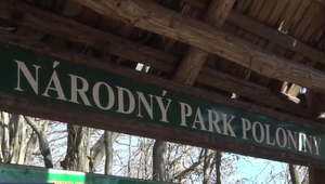 Plán obnovy má do Polonín priniesť viac turistov. Horskú službu tam ale rušia